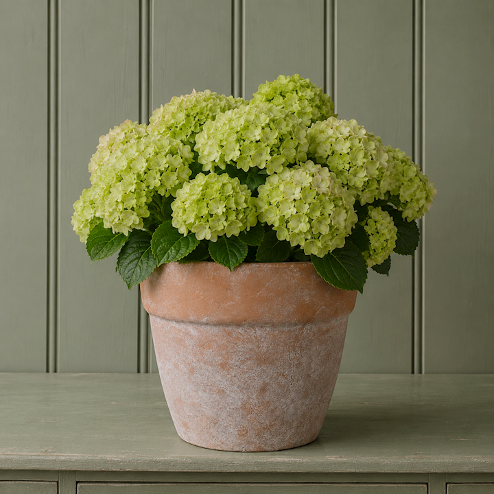 *TORRE LARGE STONE PLANTER 26x26x24cm
